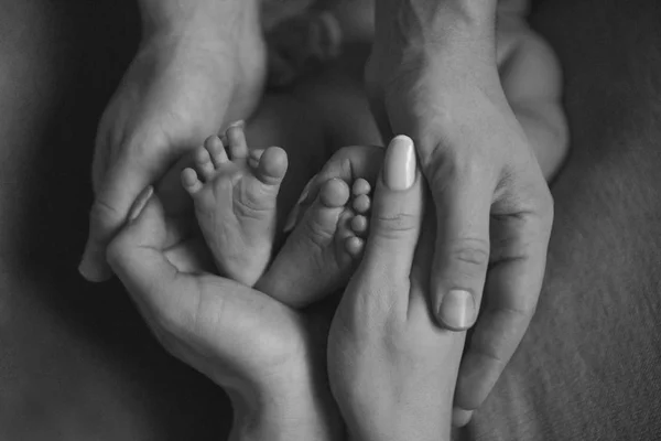 Pies Del Bebé Recién Nacido Madre Sosteniendo Las Piernas Del —  Fotos de Stock