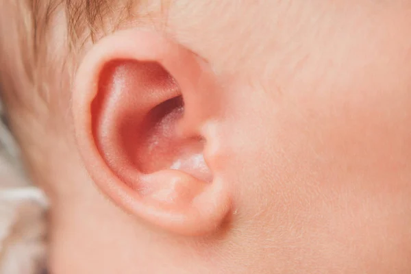 Ear Newborn Baby Close — Stock Photo, Image