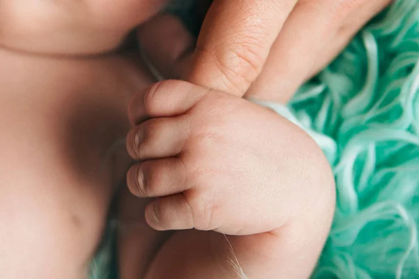 Baby Hands Close Holds Fingers Parents — Stock Photo, Image