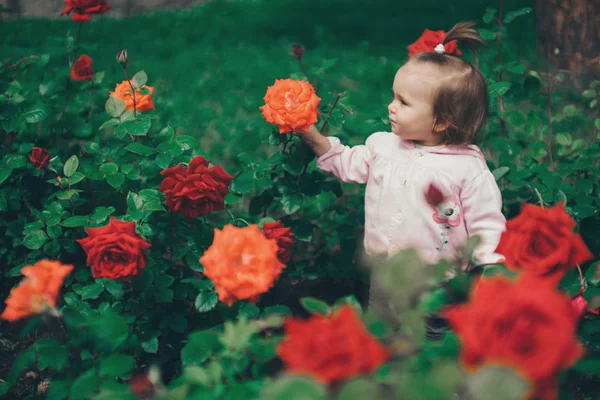 少女は 花の中で説明します バラの子 — ストック写真