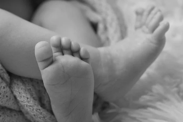 Dětské Nohy Zblízka Barvách Bílé Balck — Stock fotografie
