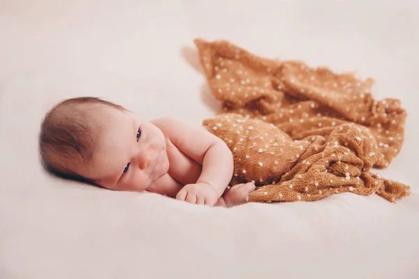 新生婴儿睡在毯子里 — 图库照片