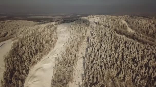 ロシアのチェリャビンスク フォレストの平面図 フィールド スキー リゾート 降下およびスキー場のリフト — ストック動画