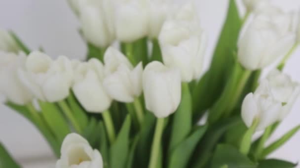 Krásná Kytice Tulipánů Střelbu Květiny Close Jasné Rozmazaný Obraz — Stock video