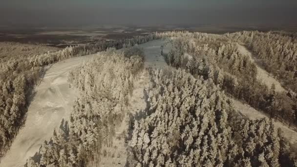 Vista Superior Del Bosque Ruso Chelyabinsk Árboles Campos Estación Esquí — Vídeo de stock