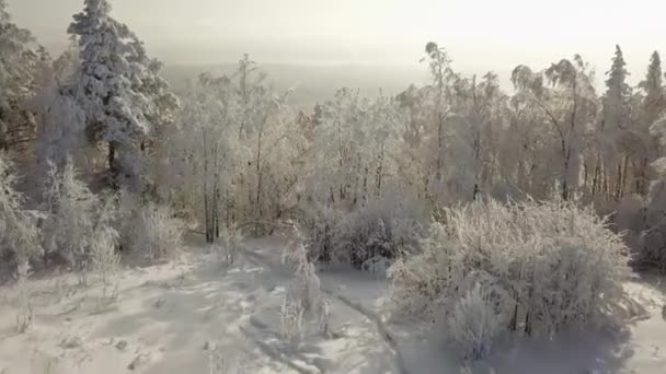 俄国车里雅宾斯克州森林的上部看法 滑雪胜地 下降和滑雪升降机 — 图库视频影像