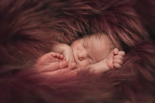 一个穿着红色皮毛的小孩躺着。新生儿的肖像 — 图库照片