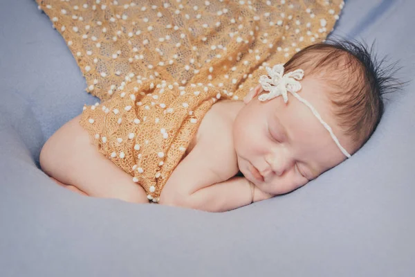 Bebê recém-nascido dorme envolto em um cobertor — Fotografia de Stock