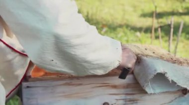 Bir arıcı apiary'de arılar ve kovanları ile çalışır. Apiary'de koruyucu giysili bir adam. Çalışan kovandan çerçeveyi çeker. Bir adam bal ile petek çeker. Yaz hasadı