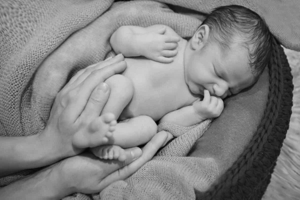 Bebê recém-nascido nu dormindo enrolado em uma bola — Fotografia de Stock