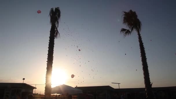 Kleurrijke Helium Ballonnen Vliegen Lucht Zon Palmbomen Tegen Hemel Vlucht — Stockvideo