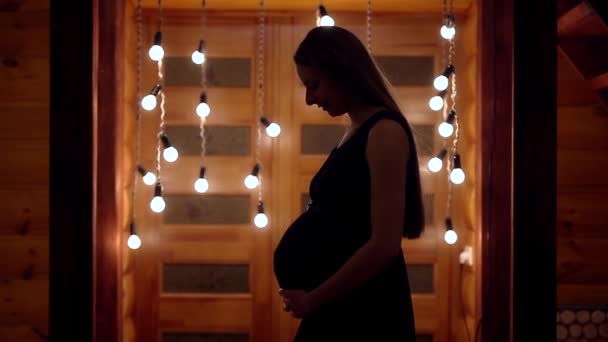 Een Zwangere Vrouw Met Lang Haar Shadow Strelen Haar Maag — Stockvideo