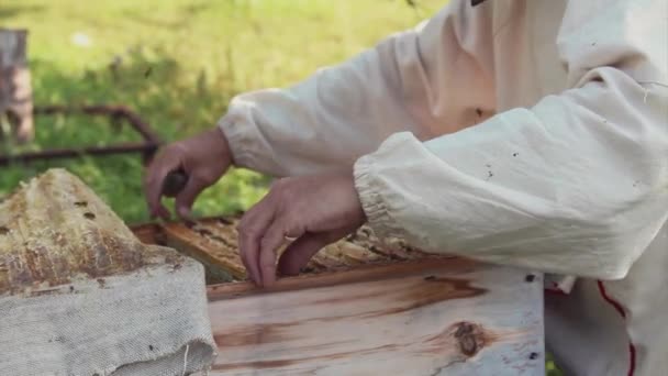 养蜂人与蜂和蜂巢在养蜂处工作 穿着防护服的男人在疗养院里 员工从配置单元中拉出框架 一个男人用蜂蜜把蜂巢拉出来 — 图库视频影像