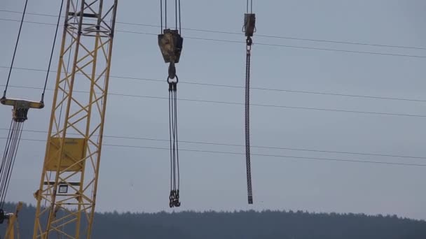 Stäng Upp Kranen Krok För Travers Fabrik — Stockvideo