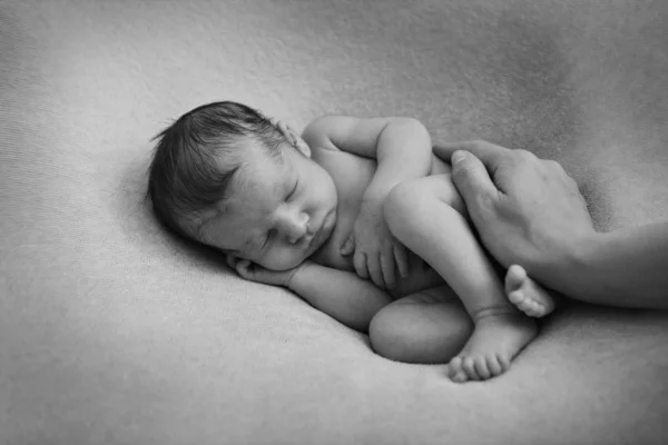 Naked newborn baby sleeping curled up in a ball — Stock Photo, Image