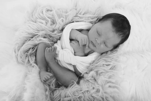 Bebé recién nacido duerme envuelto en una manta —  Fotos de Stock