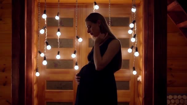 Una Mujer Embarazada Con Pelo Largo Sombra Acariciando Estómago Sobre — Vídeo de stock