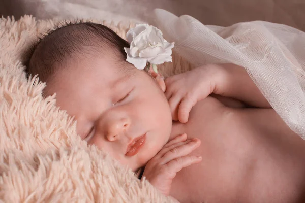 Retrato de uma menina com uma flor no cabelo: rosto do bebê close-up — Fotografia de Stock