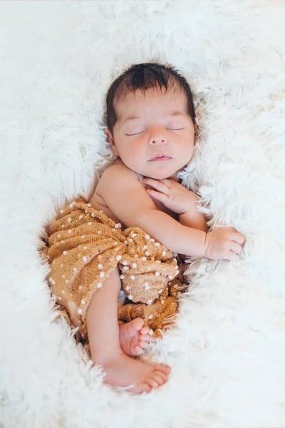Nyfödda barn sover insvept i en filt — Stockfoto