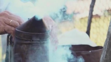 arı-maker arıcı çalışma yaşam tarzı kötü arılar kovucu için bir cihazın duman boru çağrı cihazı sigara içen adam. ağır çekim video. arı kovanı. Arıcılık kavramı arı tarım