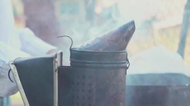 arı-maker arıcı çalışma yaşam tarzı kötü arılar kovucu için bir cihazın duman boru çağrı cihazı sigara içen adam. ağır çekim video. arı kovanı. Arıcılık kavramı arı tarım