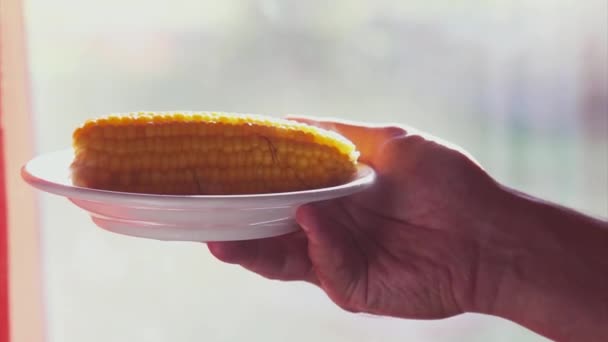 Горячая Еда Крупным Планом Пар Вареных Кукурузных Початков Тарелке — стоковое видео