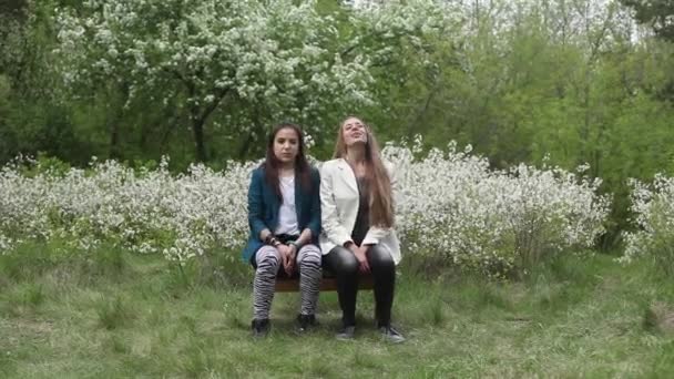 Två Glada Studenter Promenader Och Talar Varandra Ett Campus Solnedgången — Stockvideo