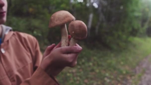 Girl Woods Collect Mushrooms Boletus Closeup Forester Evaluates Harvest — Stock Video