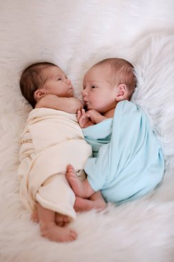 sağlıklı yaşam tarzı kavramı, Ivf - iki yenidoğan bebek uyur