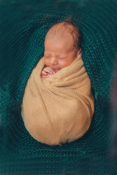 newborn baby sleeps wrapped in a blanket. concept of childhood, healthcare, IVF