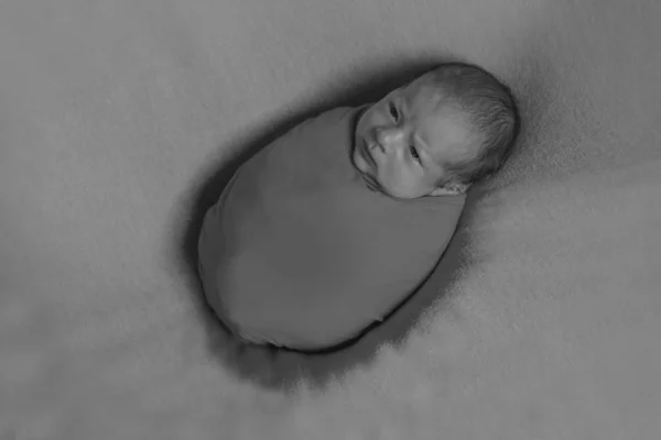 Newborn baby sleeps wrapped in a blanket. concept of childhood, healthcare, IVF. Black and white photo — Stock Photo, Image