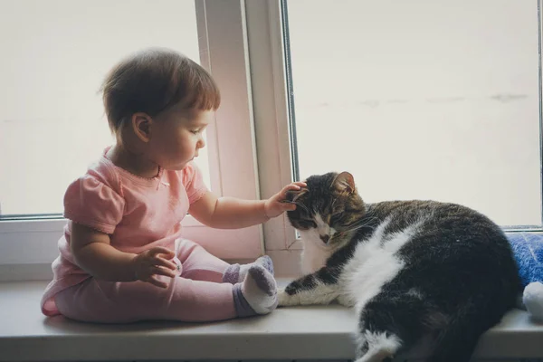 Uma criança pequena brinca com um gato na janela. Conceito de infância feliz, proteção de animais de estimação, medicina alternativa — Fotografia de Stock