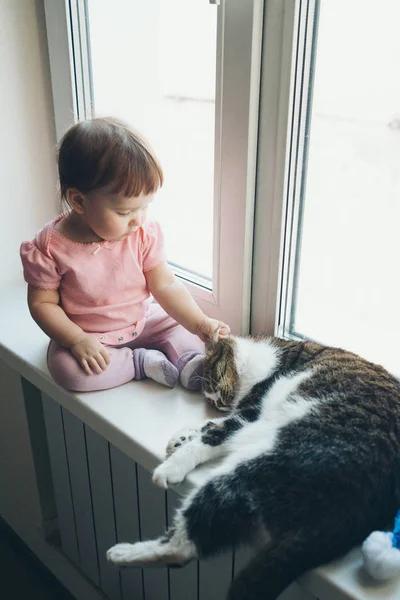작은 아이가 창가에서 고양이와 놀고 있다. 행복한 어린 시절 개념, 애완 동물 보호, 대체 의학 — 스톡 사진