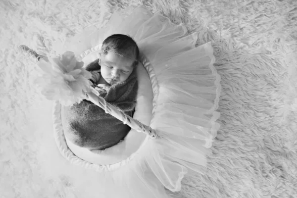 Bebé recién nacido envuelto en una manta durmiendo en una canasta. concepto de infancia, salud, FIV. Foto en blanco y negro —  Fotos de Stock