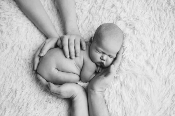 Naked newborn baby lying on the hands of parents on a white background. Imitation of a baby in the womb. beautiful little girl sleeping lying on her stomach. — 스톡 사진