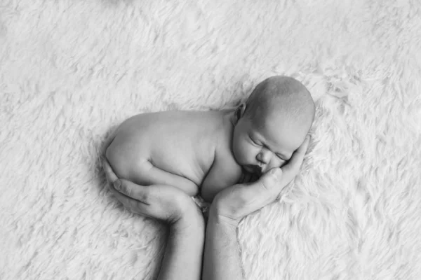 Naket nyfött barn som ligger på händerna på föräldrar på en vit bakgrund. Imitation av ett barn i livmodern. vacker liten flicka sover liggande på magen. — Stockfoto