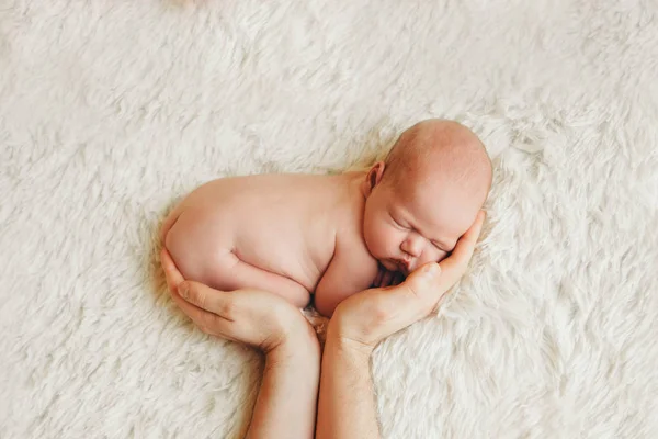 Naked newborn baby lying on the hands of parents on a white background. Imitation of a baby in the womb. beautiful little girl sleeping lying on her stomach. — Stock Photo, Image