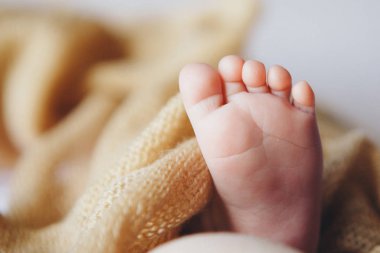 Bebeğin ayakları, parmaklar kapalı. yeni doğmuş bebek bacakları, masaj konsepti çocukluk, sağlık, tüp bebek, hijyen