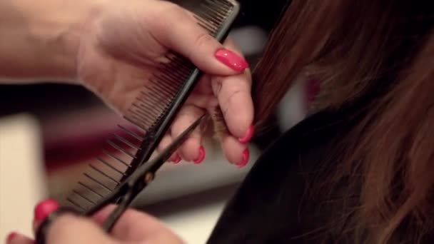 Dziewczyna Obcina Włosy Salonie Fryzjerskim Mistrz Strzyże Zadowolony Klient Przetwarzanie — Wideo stockowe