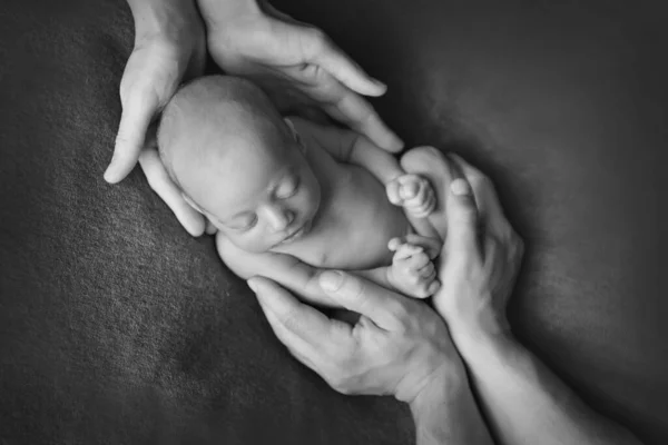 Nyfött Barn Som Ligger Föräldrarnas Händer Imitation Ett Barn Livmodern — Stockfoto