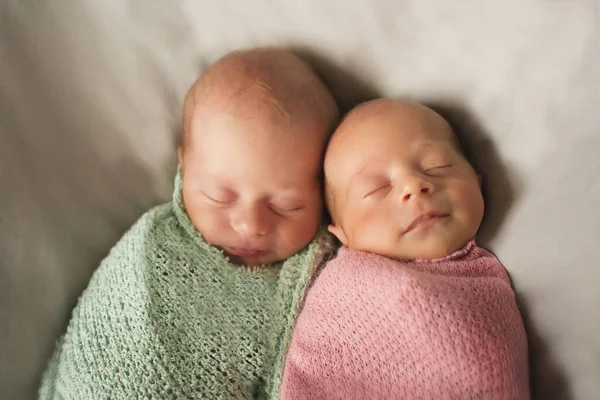 Ivf Results Twins Embrace Newborn Babies Sleep Together — Stock Photo, Image