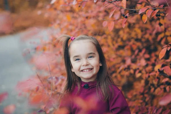 一个穿着保暖西服的小孩在树林里散步 秋天的公园 户外散步的概念 — 图库照片