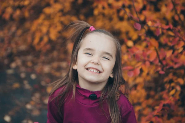 Niño Pequeño Traje Caliente Camina Por Bosque Parque Otoño Concepto — Foto de Stock