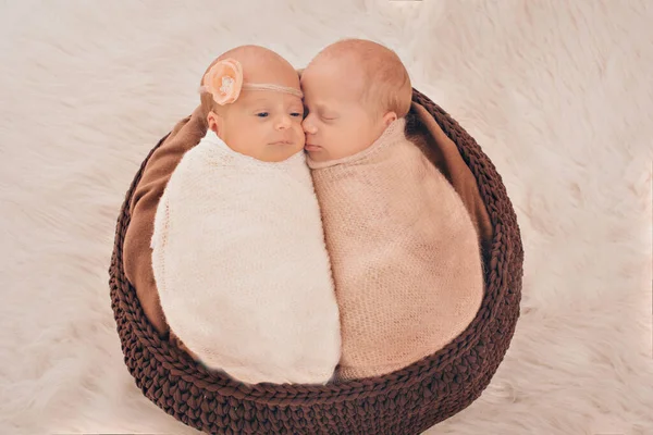 体外受精结果 双胞胎拥抱 新生婴儿睡在一起 — 图库照片