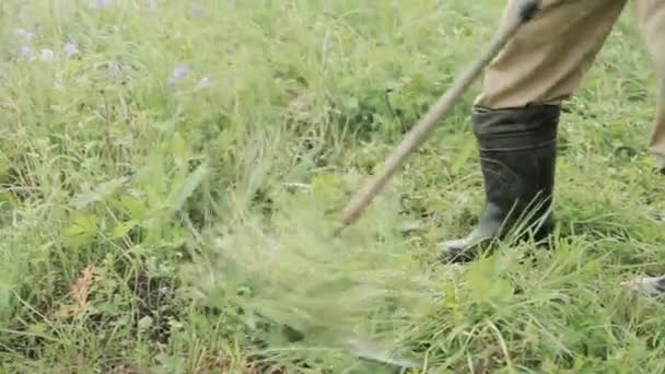 Muž Seká Trávu Život Vesnici Sklizeň Sena Zimu Krmení Spletené — Stock video