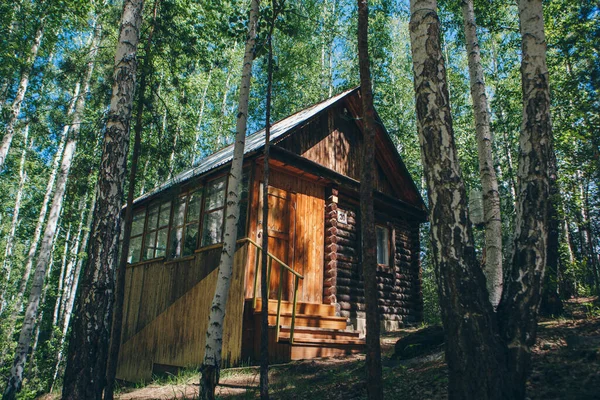 Sommerhaus Einem Birkenhain Zelten Wald Touristenbasis Für Die Erholung Der — Stockfoto