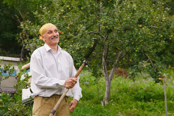 Uomo Falcia Erba Vita Del Villaggio Raccolta Del Fieno Inverno — Foto Stock