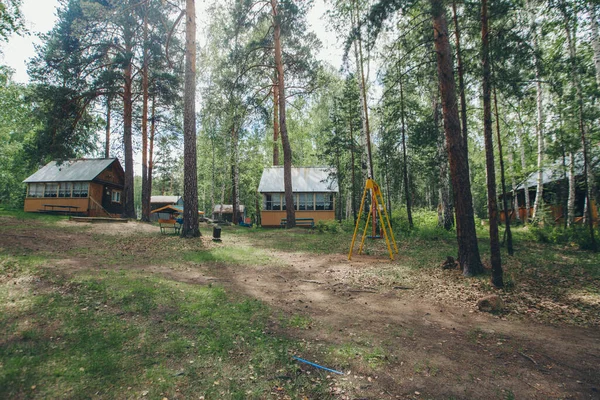 在桦树林中的夏木房子里 在森林里露营 旅客娱乐场所的旅游基地 环境友好型建筑 — 图库照片