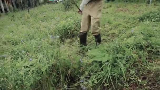 Man Mows Grass Village Life Harvesting Hay Winter Animal Feed — Stock Video