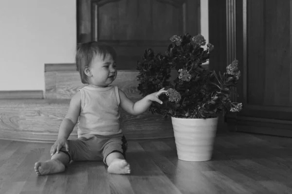 Niño Pequeño Está Sentado Suelo Junto Una Flor Grande Una —  Fotos de Stock